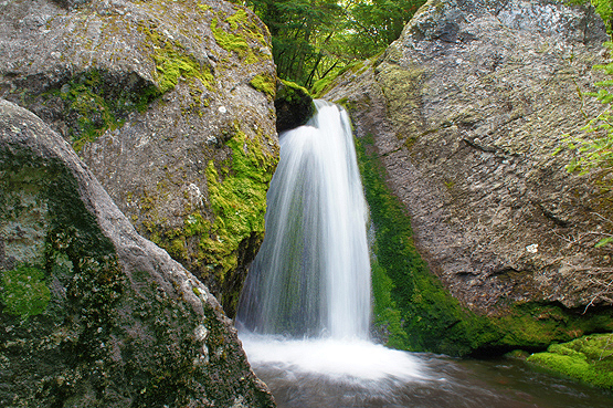 Mossy Falls NH New Hampshire King Ravine Trail - Short Line Trail, NH waterfalls Mossy